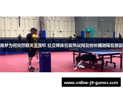 陈梦为何突然取关王楚钦 社交媒体引发热议网友纷纷猜测背后原因