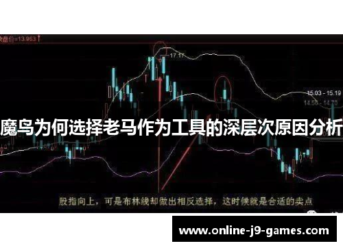 魔鸟为何选择老马作为工具的深层次原因分析
