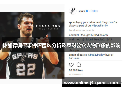 林加德调侃事件深层次分析及其对公众人物形象的影响